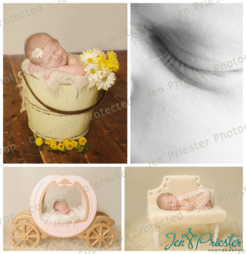 Macomb Michigan Newborn Photographer