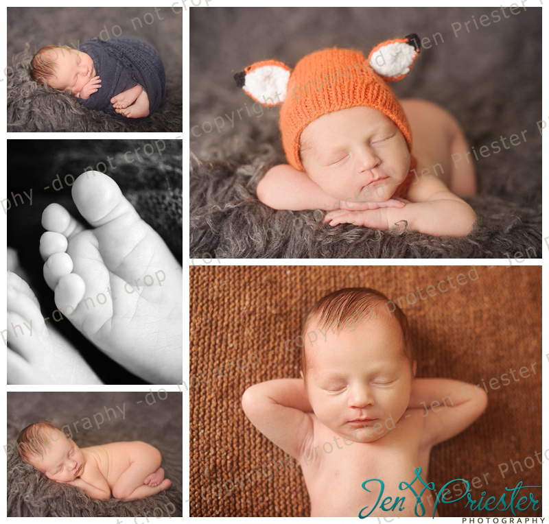 ann arbor newborn photographer