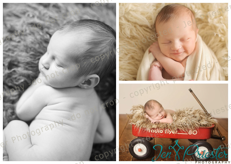 ann arbor newborn photographer