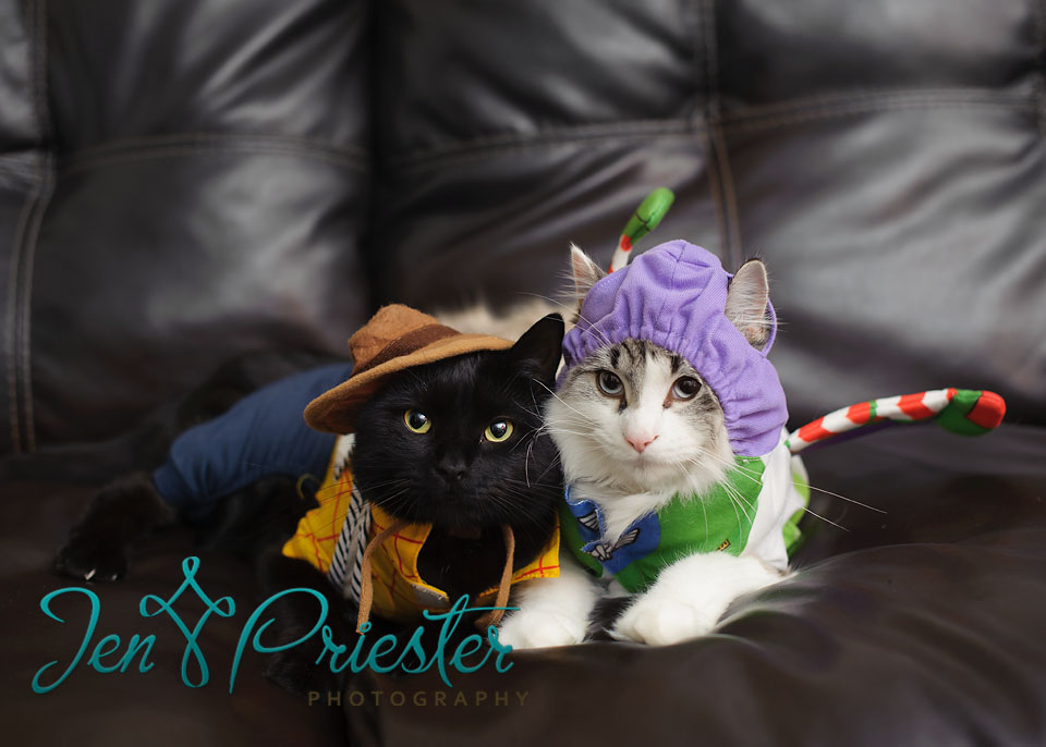 Michigan Pet Photographer