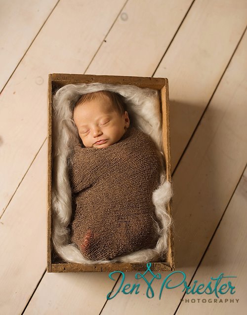 Metro Detroit Newborn Photographer