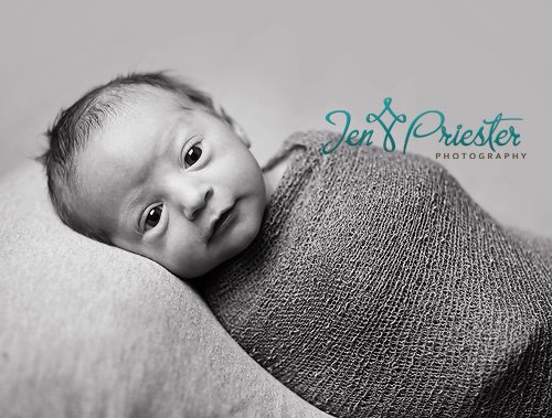 Metro Detroit Newborn Photographer