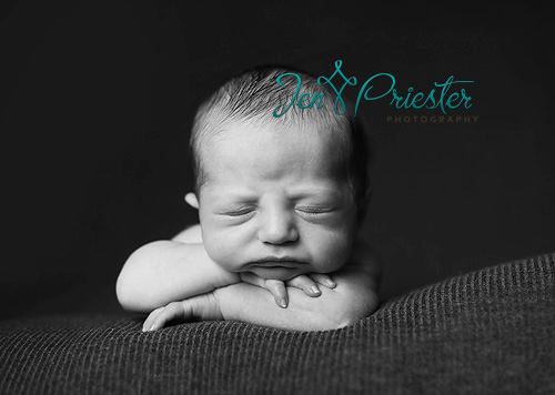 Metro Detroit Newborn Photographer
