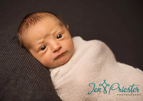 Metro Detroit Newborn Photographer