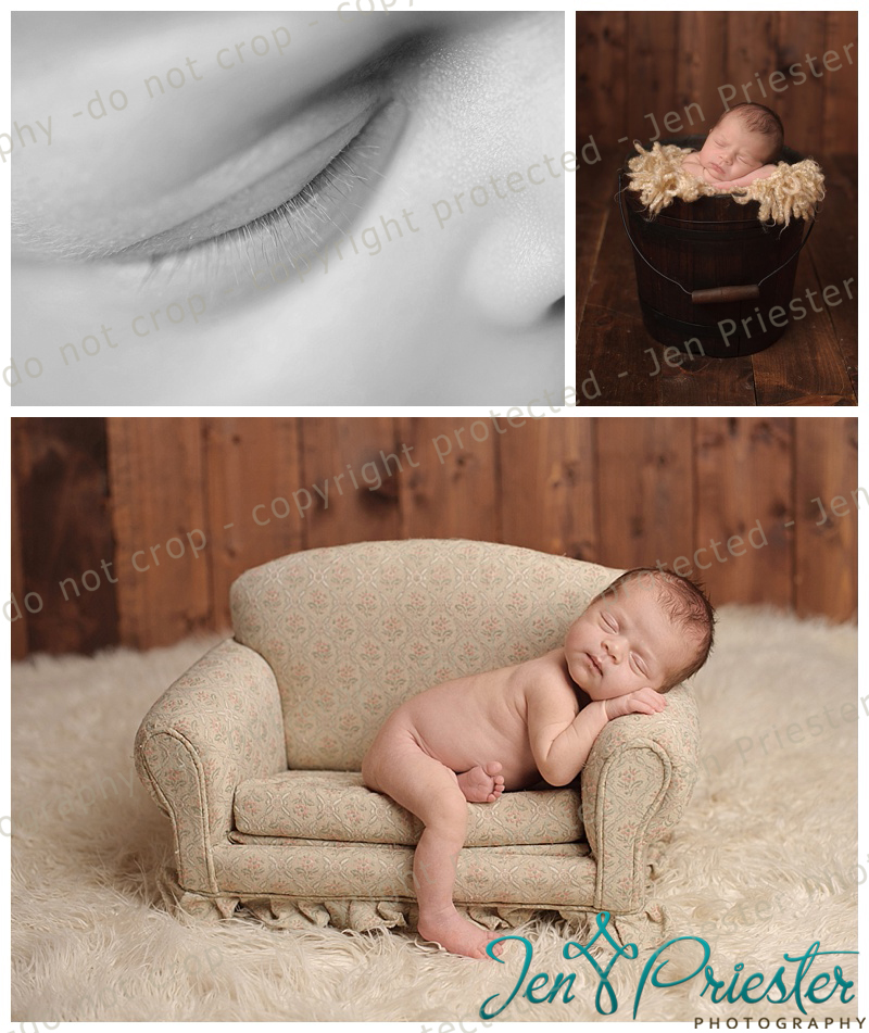 Warren Mi Newborn Photographer