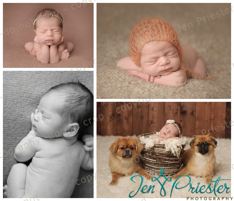 Warren Mi Newborn Photographer