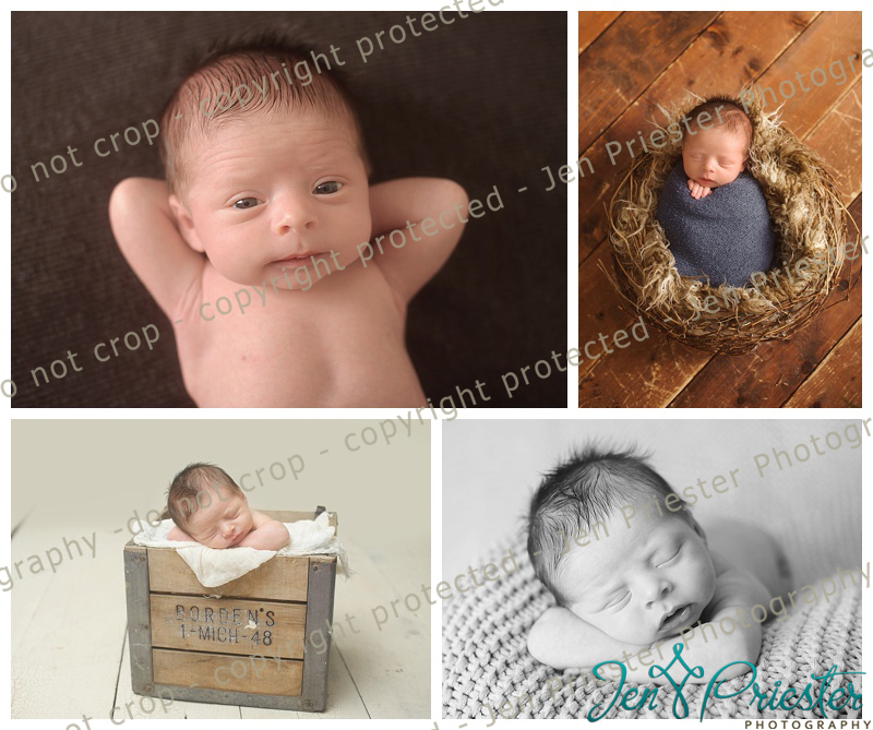 Royal Oak Mi Newborn Photographer