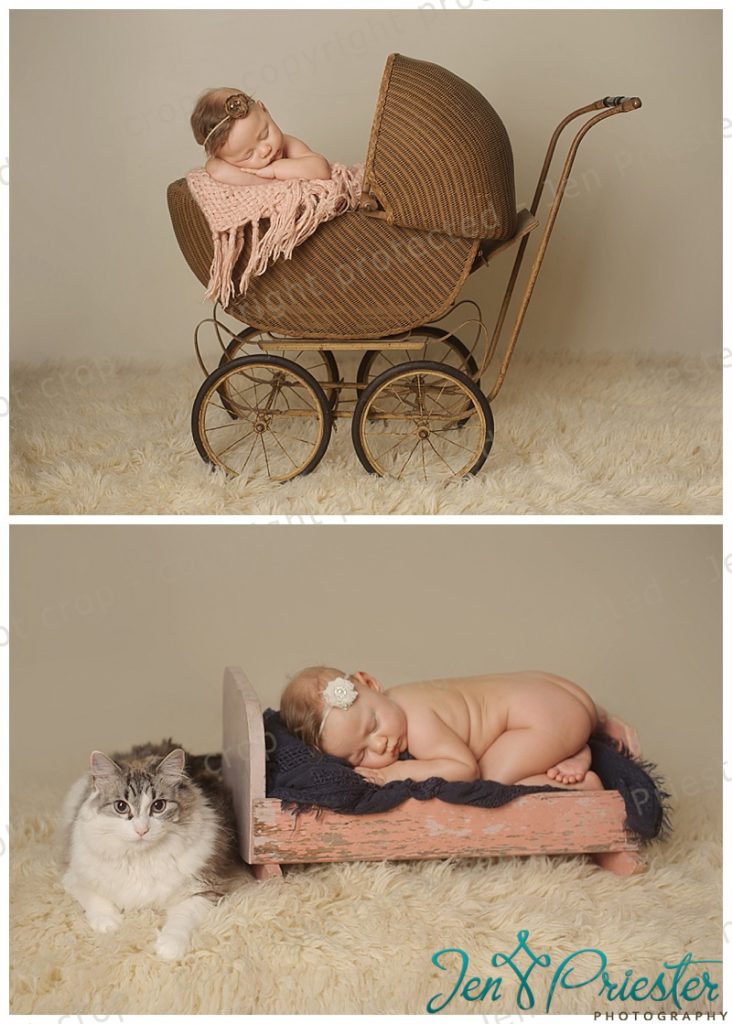 Livonia Michigan Baby Photography