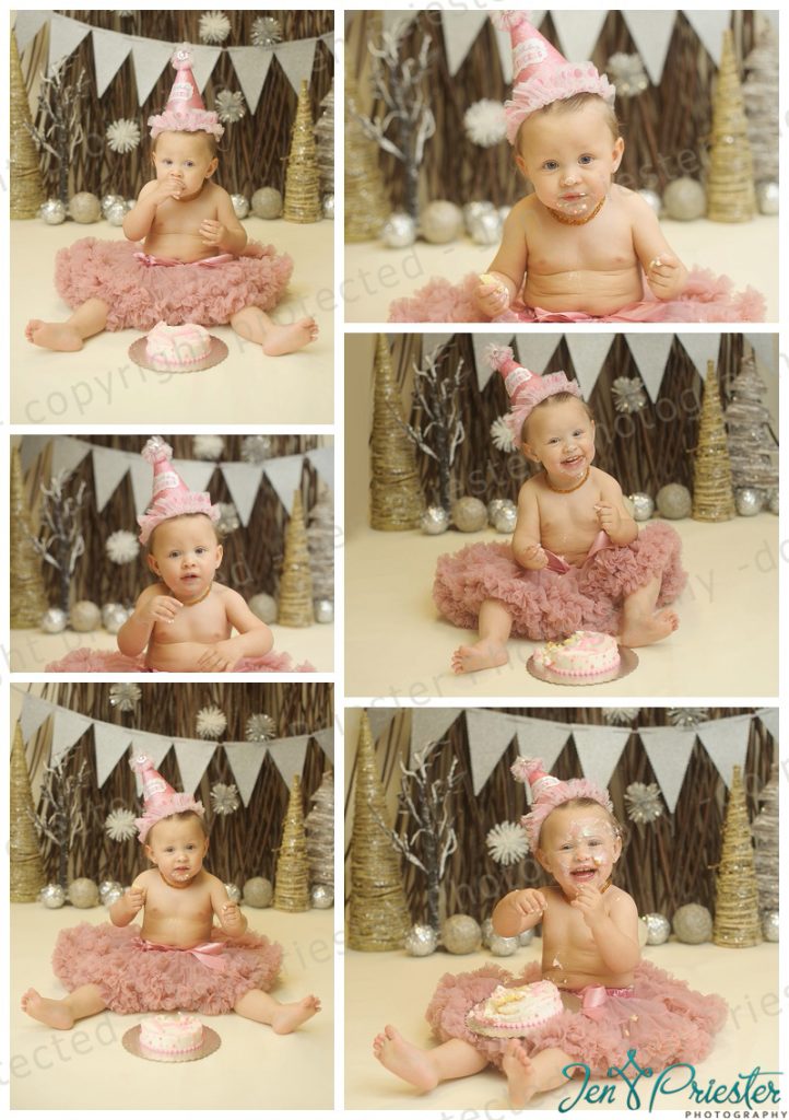 Michigan First Birthday Photos