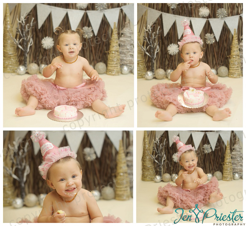 Michigan First Birthday Photos