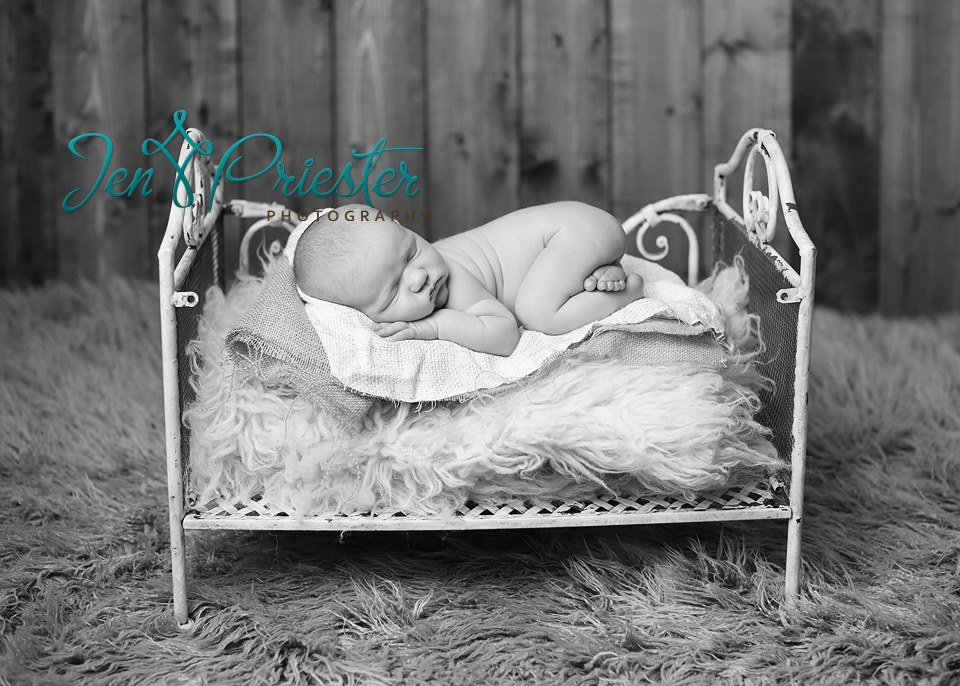Farmington Hills Newborn Photographer