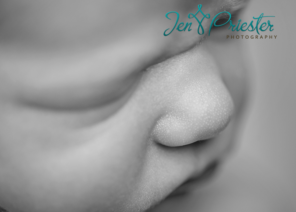 Farmington Hills Newborn Photographer
