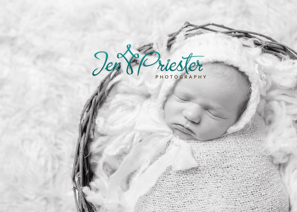 Farmington Hills Newborn Photographer