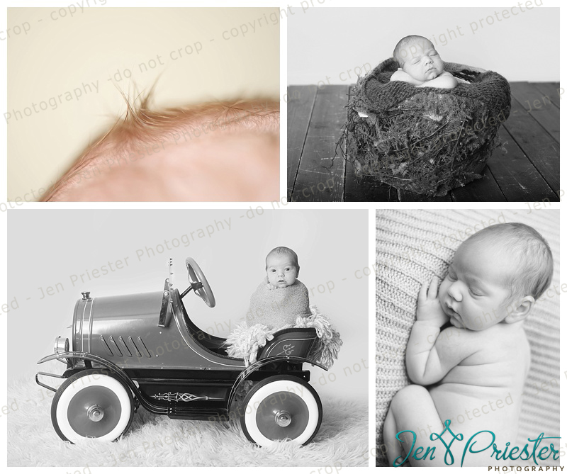 Franklin Michigan Newborn Photographer 