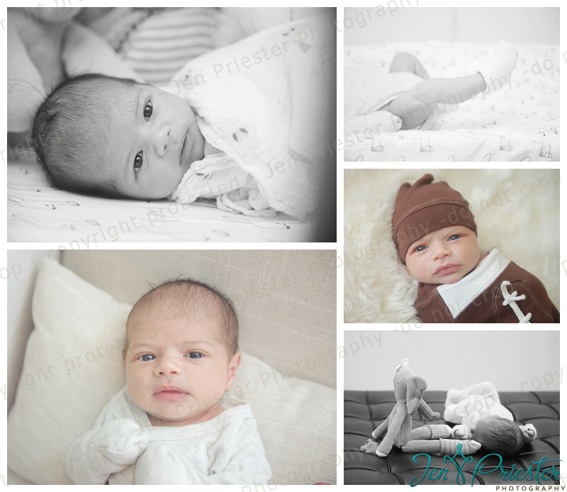 Ann Arbor Lifestyle Newborn Photographer