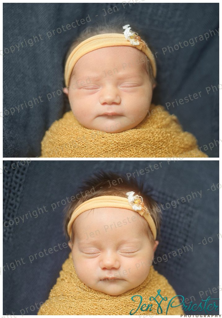Metro Detroit Mi Newborn Photographer