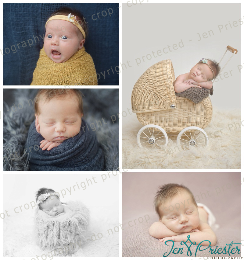 Metro Detroit Mi Newborn Photographer