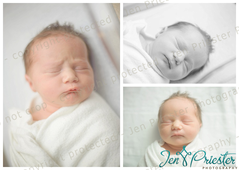 Metro Detroit Mi Newborn Photographer