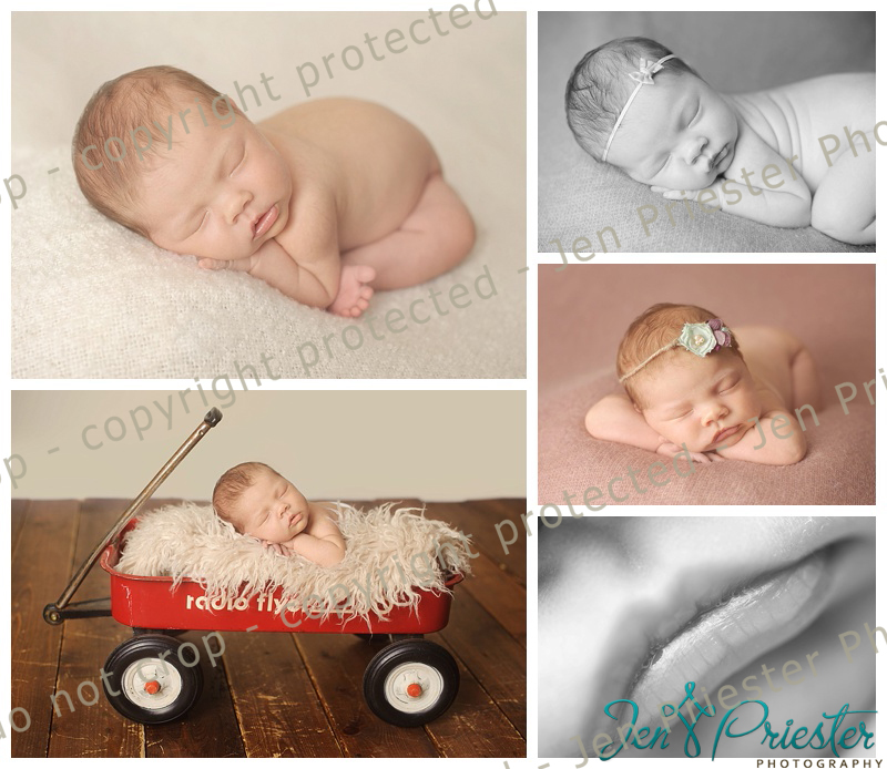 West Bloomfield Mi Newborn Photography