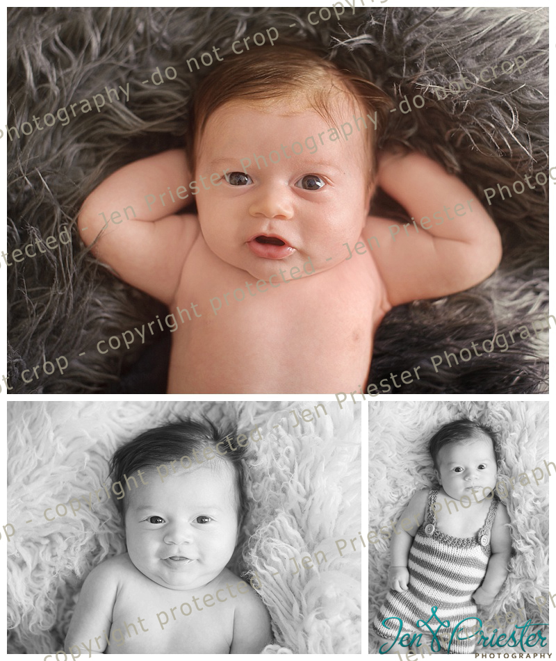 Ann Arbor Michigan Baby Photographer