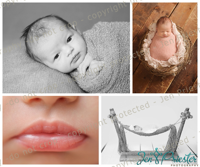 Grosse Pointe Michigan Newborn Photography