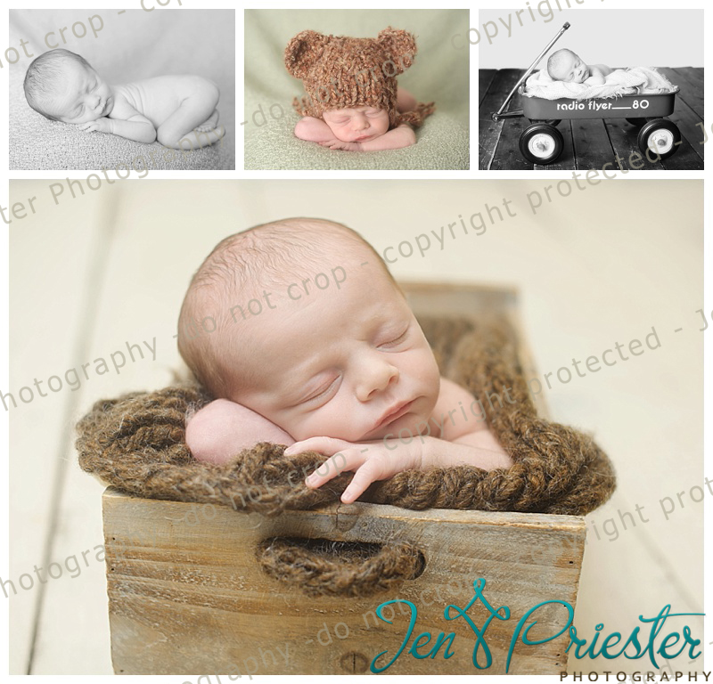 Howell Michigan Newborn Photography