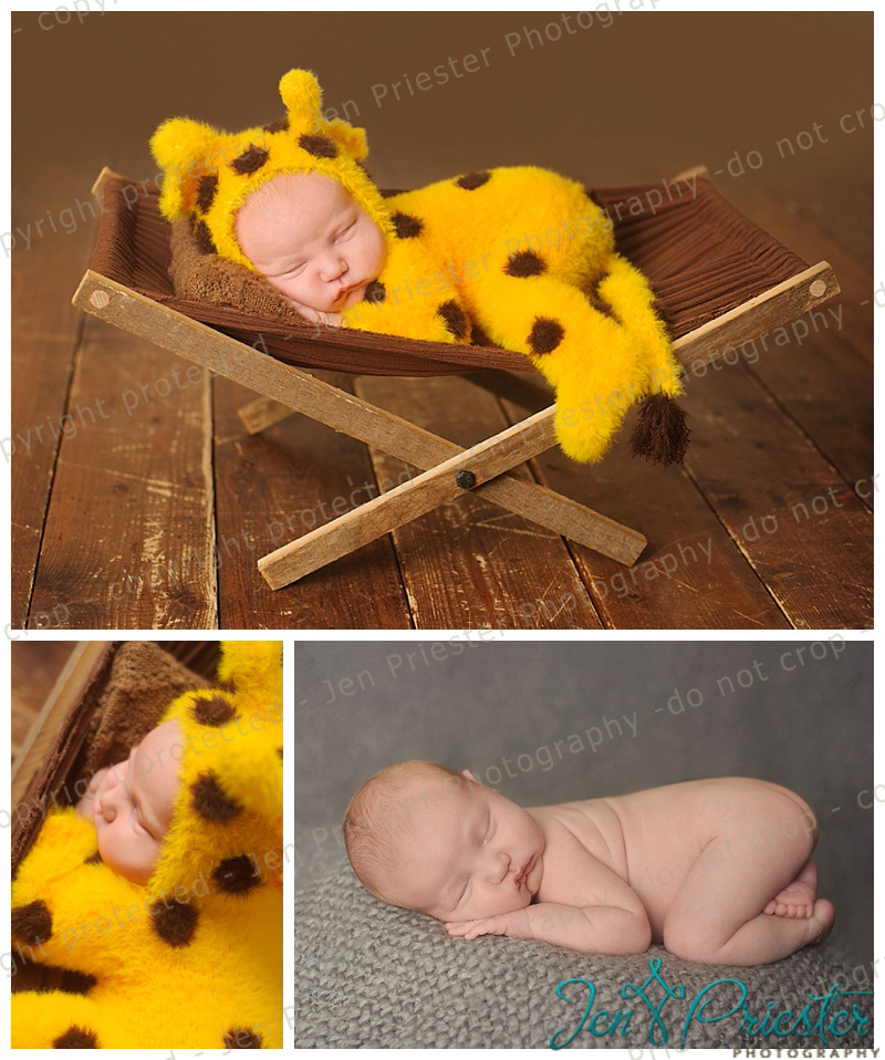 Metro Detroit Michigan Newborn Photography