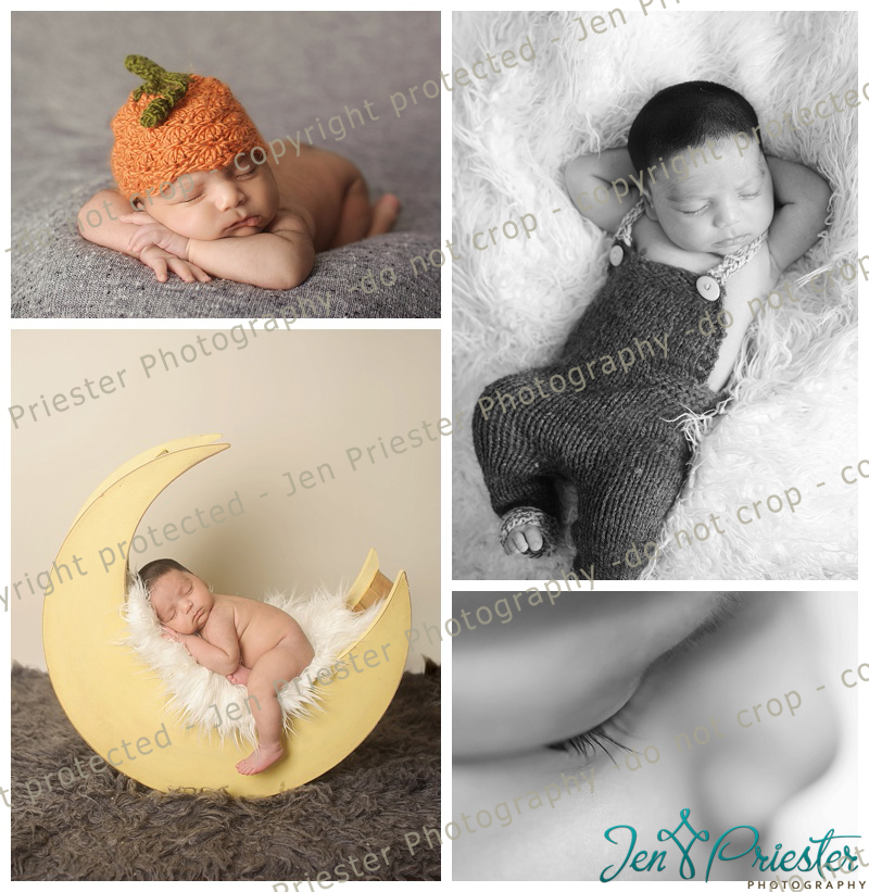 Huntington Woods Michigan Newborn Photographer