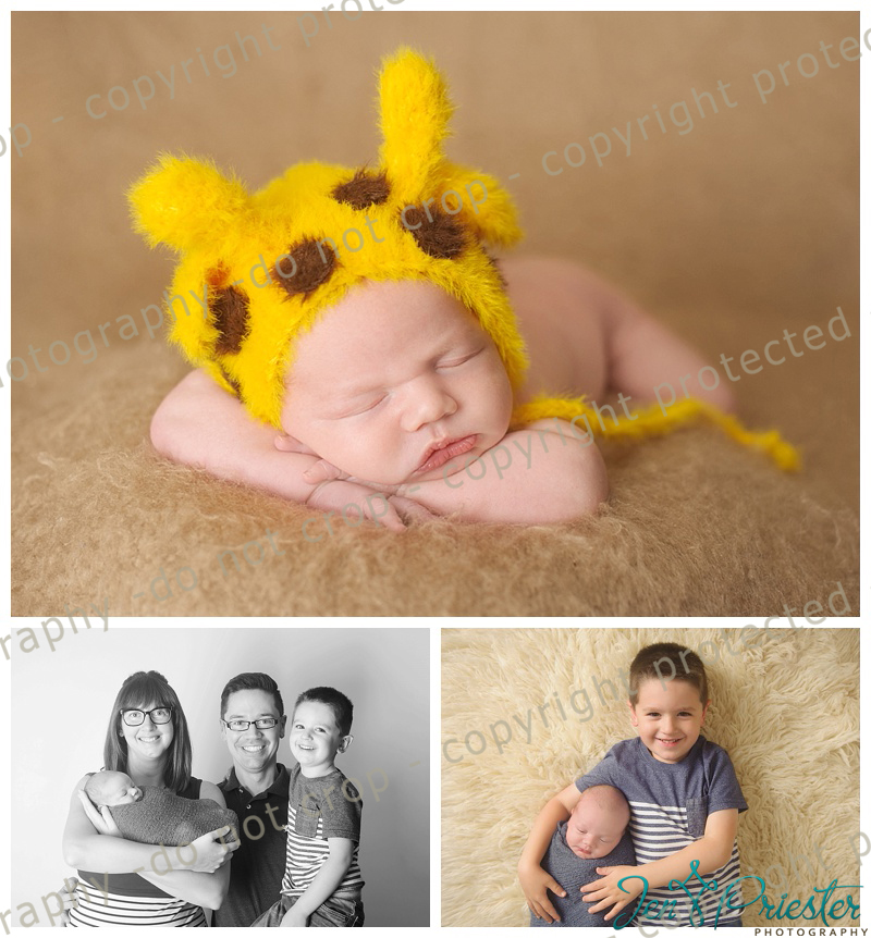 Novi Michigan Newborn Photography