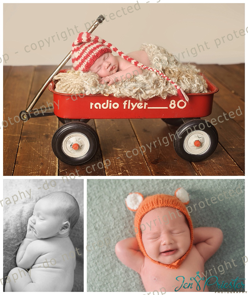 Novi Michigan Newborn Photography