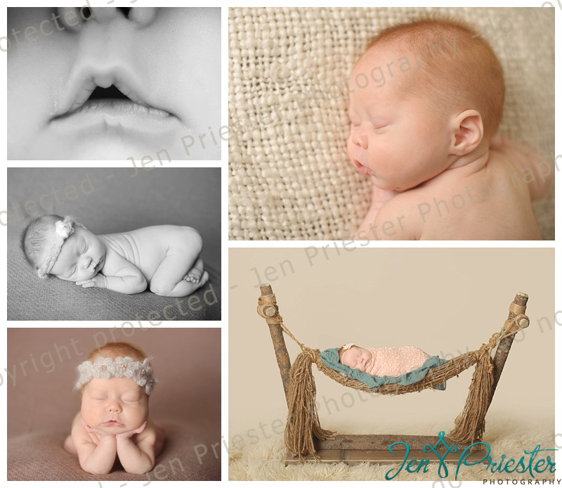 Michigan Newborn Photography