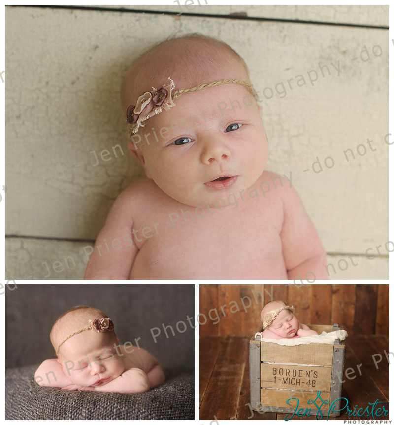 Sterling Heights Michigan Newborn Photography