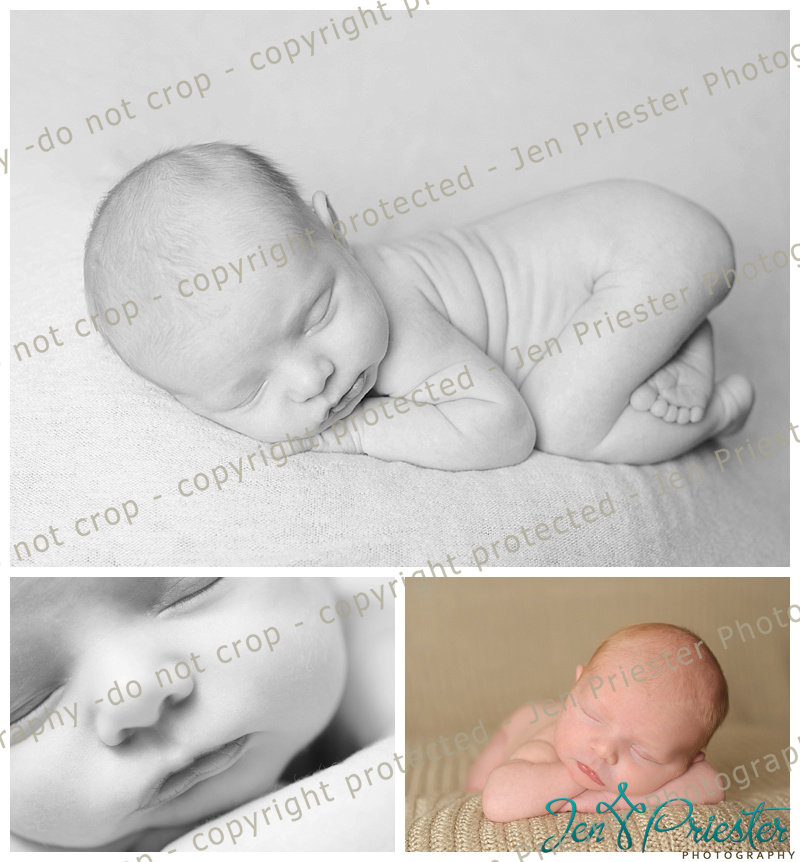 Ann Arbor Newborn Photography