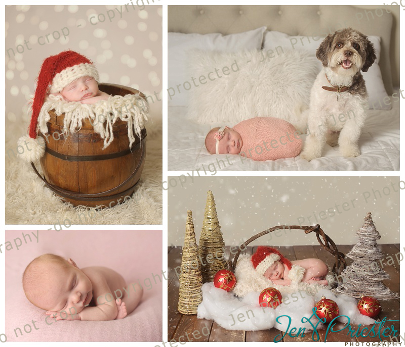 Ann Arbor Newborn Photography