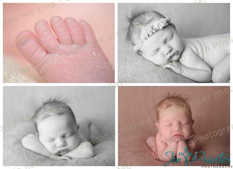 Royal Oak Newborn Photographer