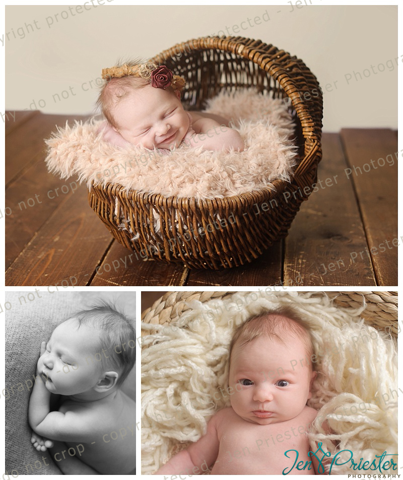 Royal Oak Newborn Photographer