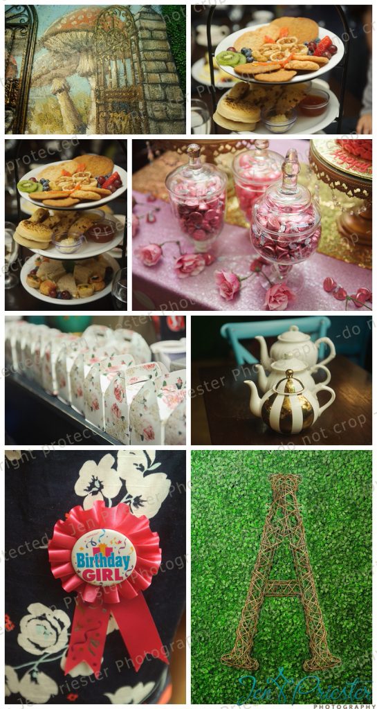 Michigan Birthday Party Photographer