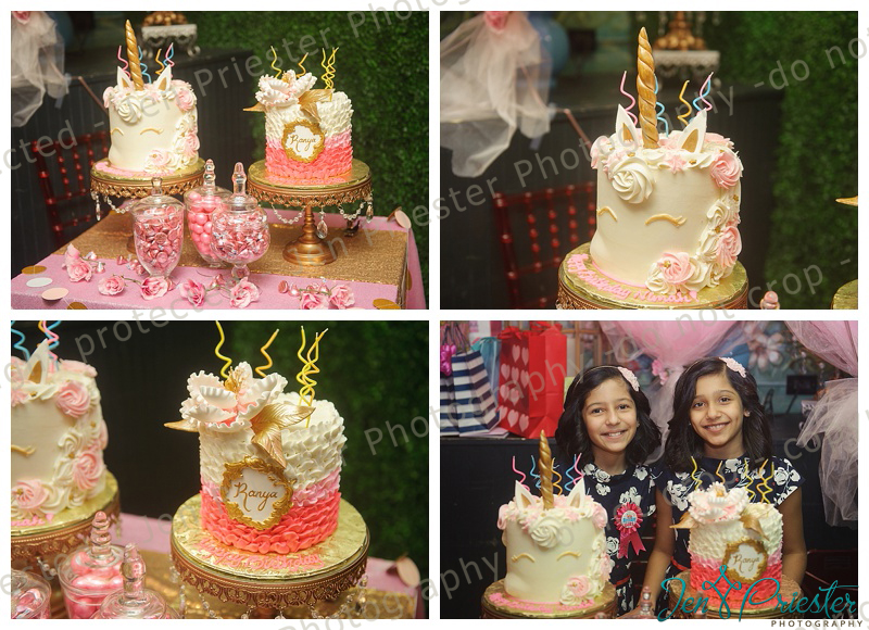 Michigan Birthday Party Photographer