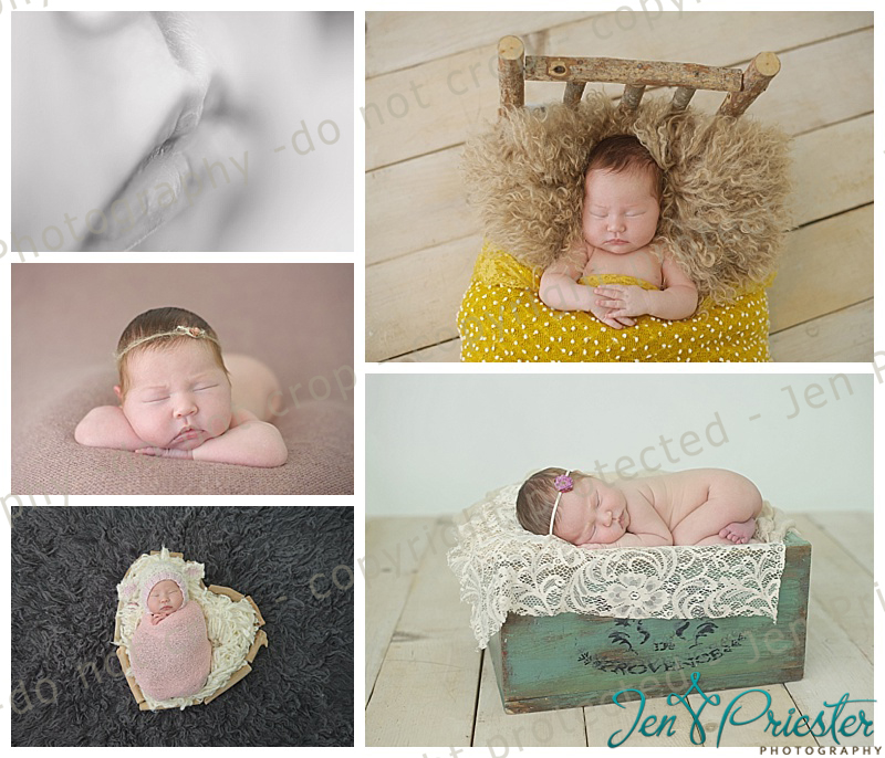 Paris | Grand Blanc Michigan Newborn Photographer Grand Blanc Michigan Newborn Photographer