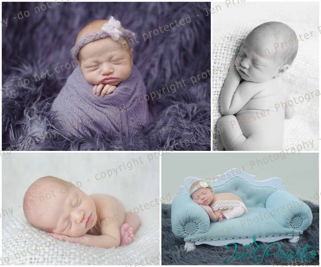 Grosse Pointe Mi Newborn Photographer