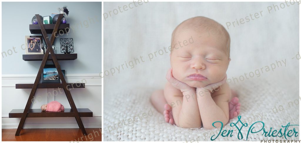 Grosse Pointe Mi Newborn Photographer