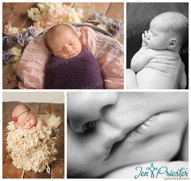 Birmingham Michigan Newborn Photography