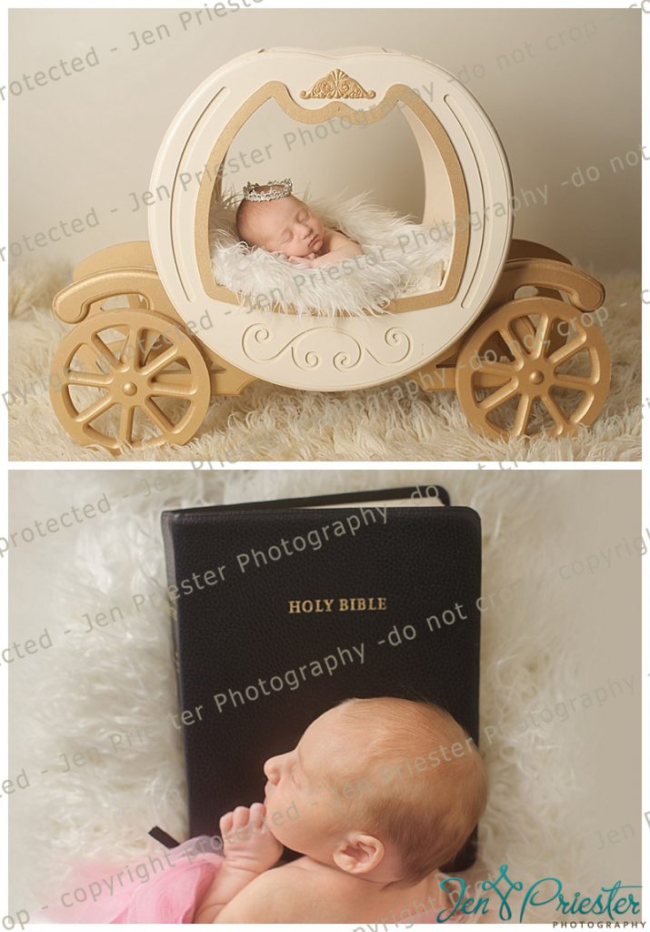 Novi Mi Newborn Photographer