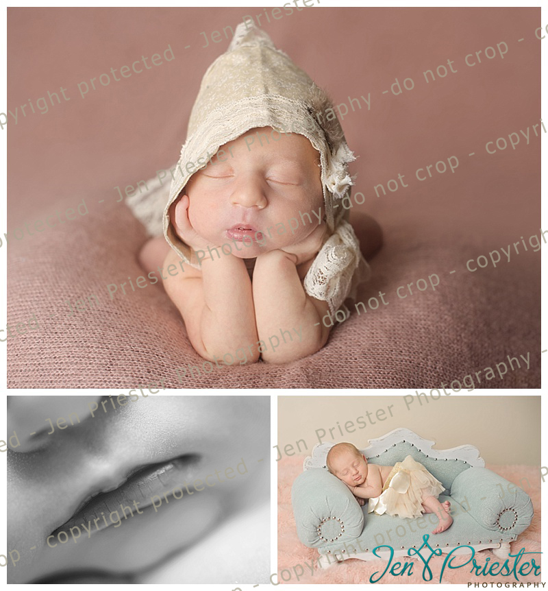Novi Mi Newborn Photographer