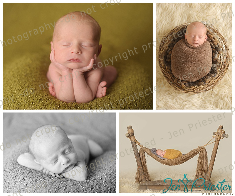 Michigan Newborn Photos