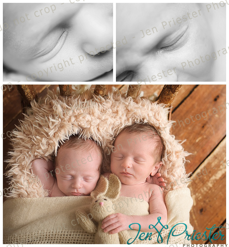 Ann Arbor Mi Twin Newborn Photographer