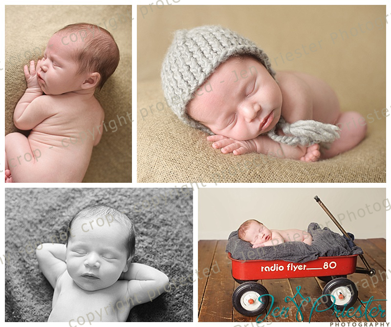 Livonia Michigan Newborn Photography