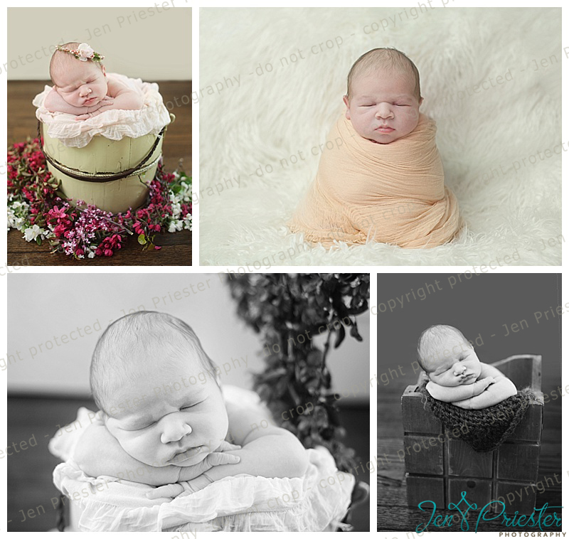West Bloomfield Michigan Newborn Photography