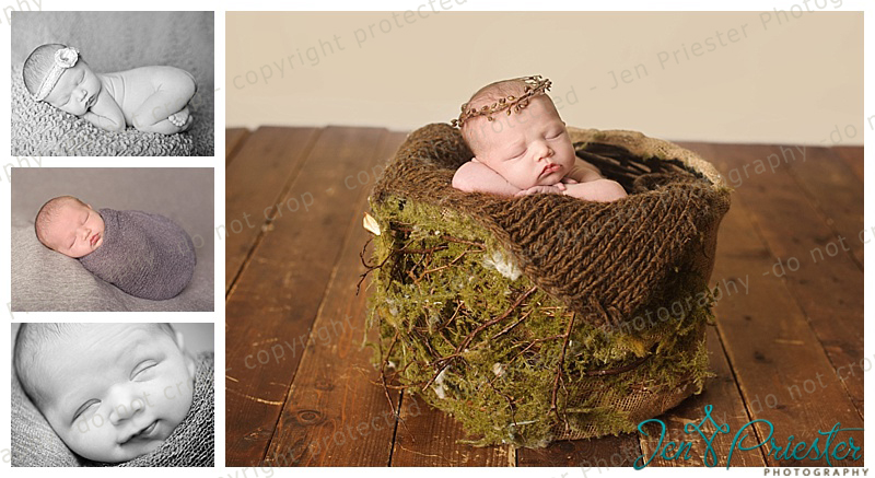 Grosse Point Mi Newborn Photographer