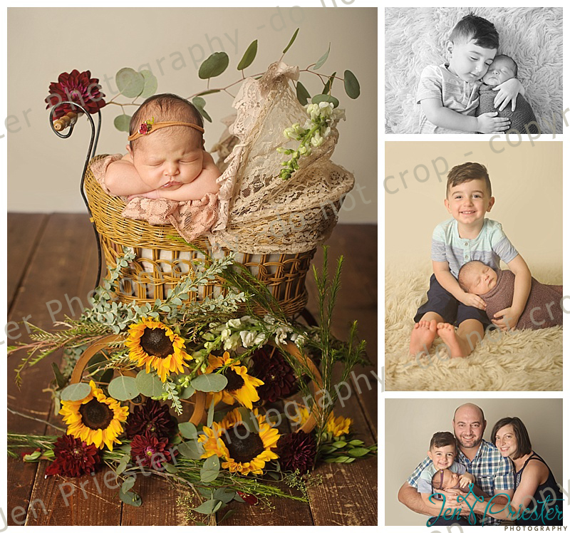 Rochester Mi Newborn Photographer